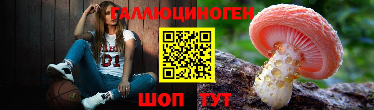Торжок  Псилоцибиновые грибы прущие грибы  Вход с VPN 
